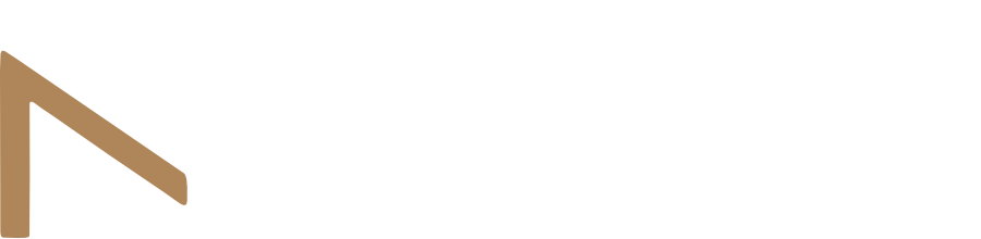 NM Visual Studio